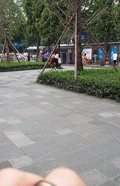 32371-ha2n2vkq514.jpg