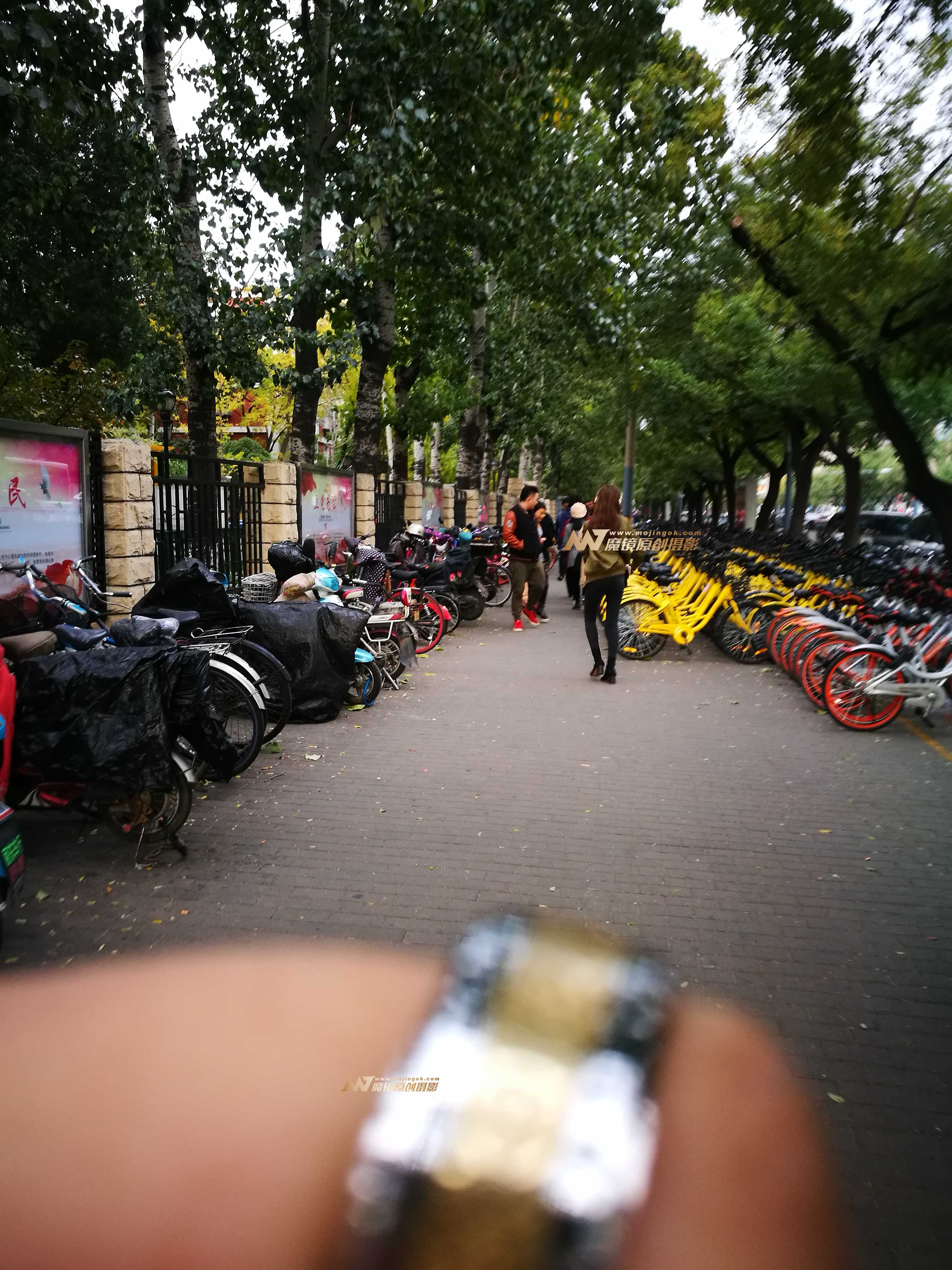 20210-n0sboh12f1p.jpg
