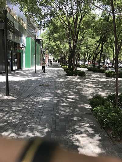 37503-akctlwtqrex.jpg