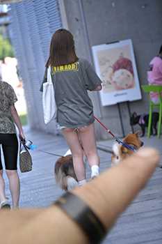 39569-zndkekwq1yh.jpg