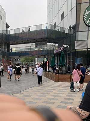 37228-caefsh351y5.jpg