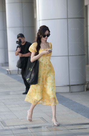 气质的连衣裙小仙女