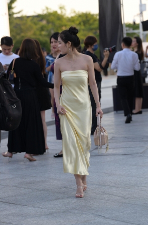 靓丽韵味的荏萋