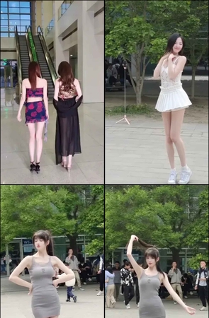 第282期--主播【夕阳下的薰衣草】共572个短视频合集，时长共2:14:44，大小3.35GB！