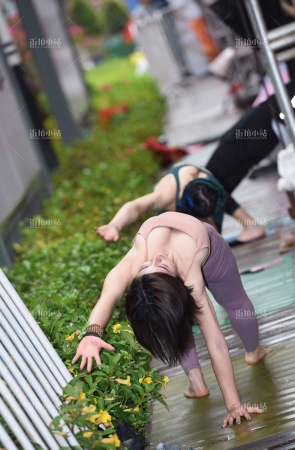 紫