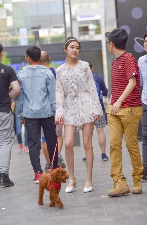 养泰迪的小姐姐