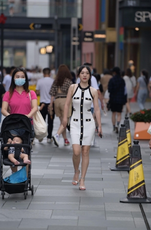 靓丽气质美人儿