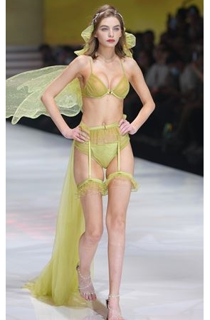 性感的内衣秀(51P)