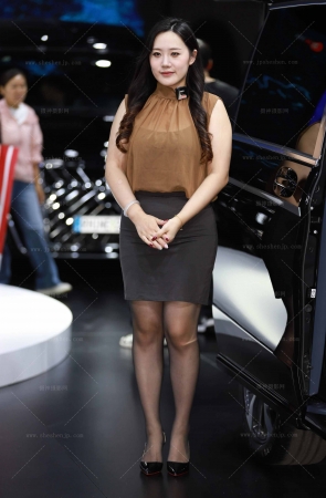 棕色上衣礼仪 8P