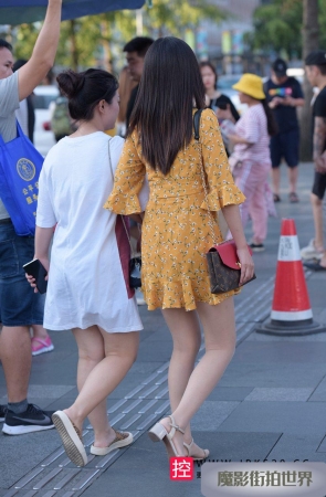 花裙子美女3A2795[766M]