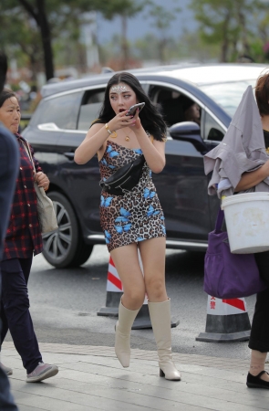 性感的豹纹包臀裙美女