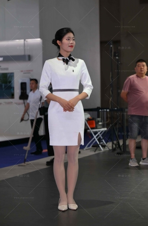 端庄的礼仪咨客