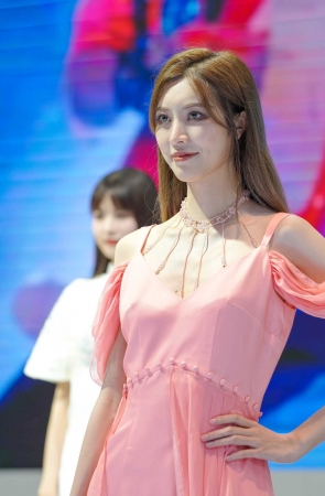 靓丽车模