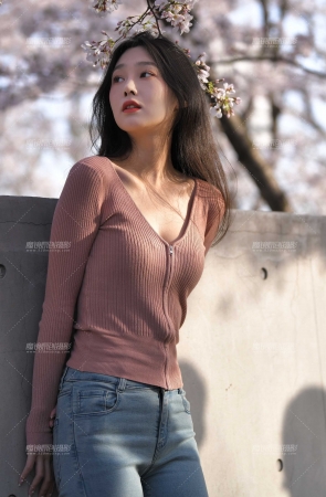 樱花树旁