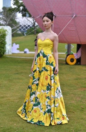 黄色长裙美女 【第二篇】