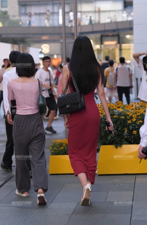 身材高挑的性感美人儿