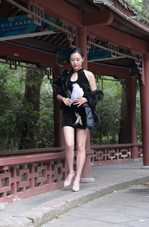 性感黑色短裙丝袜美女 【图片➕视频】