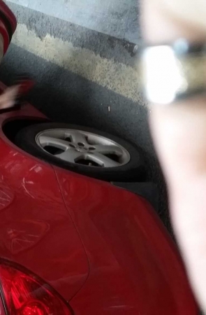 高挑气质开叉长裙美女