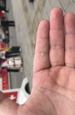 一个欧美一个健美，你们喜欢哪个