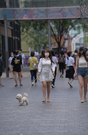 遛狗的丰腴白裙妹子