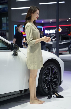 车模