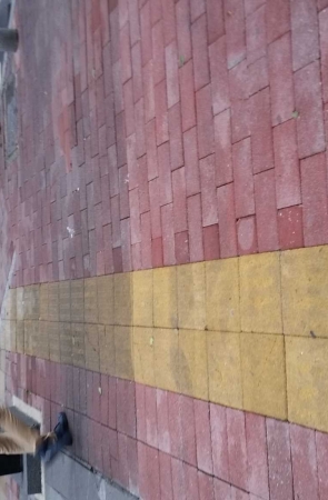 高挑的白衣淑女