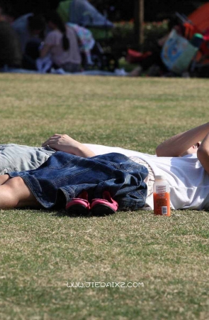 平躺草地玩手机