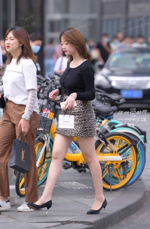 20918-8+37 4P