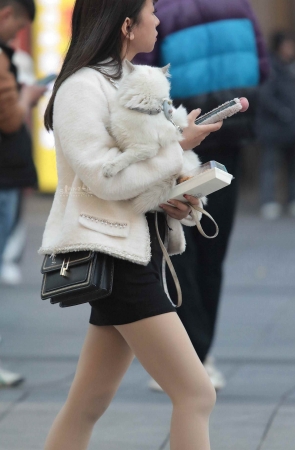诱惑肉丝街拍短裙妹子