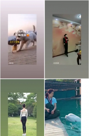 第115期：抖音主播【春】2632部短视频合集，视频时长18:13:14，大小13.3GB