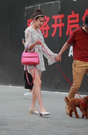 遛狗的漂亮小姐姐