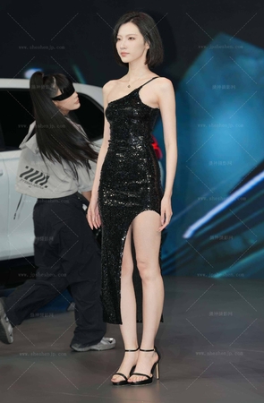 武汉车展-她非常的高冷85P视8K1min