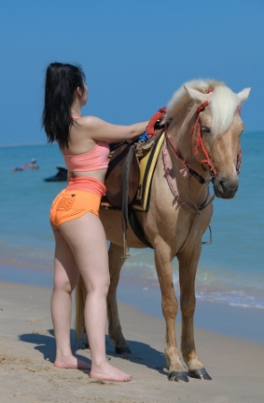 第六篇：