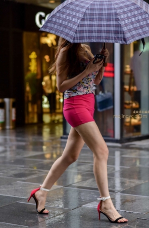 雨中那一抹粉红