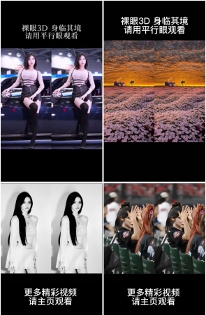 第178期：抖音主播【裸眼3D馆】410部短视频合集，视频时长1:30:3，大小3.8GB