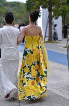 黄花裹胸长裙美女