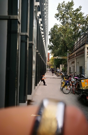 身材高挑的气质女郎