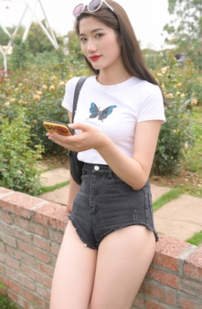 引碟