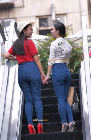 双牛出海