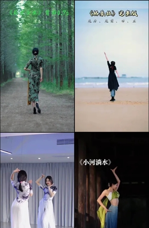 第231期--主播【中国舞韩婳】共466个短视频合集，时长共3:19:54，大小4.77GB！