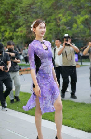 小龙鼠---紫色裙