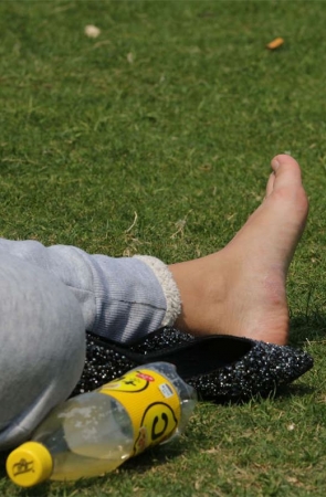 No328 Canon5D草地系列