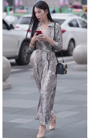 气质长裙美女(57P)[1.16G/JPG]