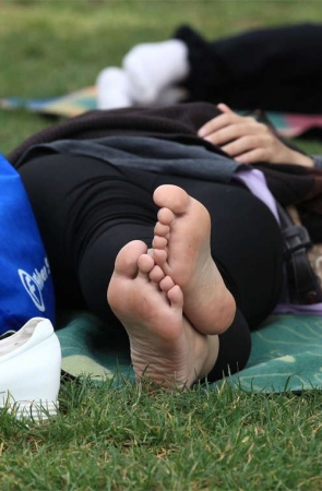 No1164 任君观赏的眼镜女孩草地睡足