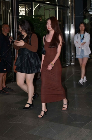 街拍棕色长裙美眉