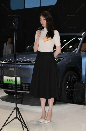 漂亮端庄美女小姐姐