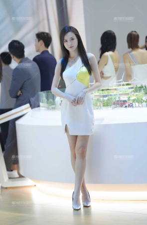 好美的车模
